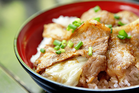 猪肉加大米饭食物饮食主食午餐文化糖类装饰品烹饪粮食红色图片