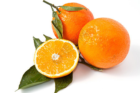 橙色白色热带宏观黄色食物橙子果汁小吃美食绿色图片