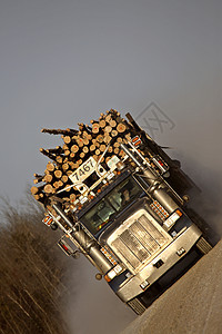 接近运伐木卡车场景风景旅行木材图片