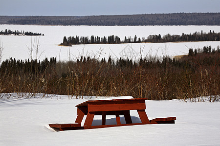 多尔湖的冬季景色野餐旅行风景松树桌子水平图片
