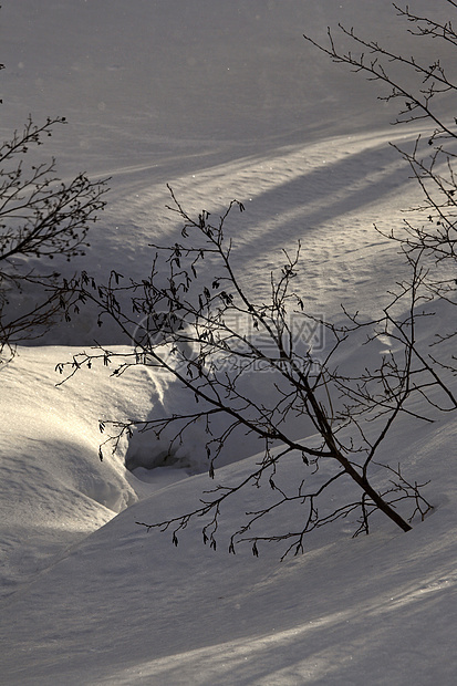 在峡谷里打雪图片