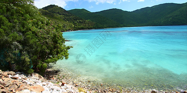 托尔托拉湾啤酒湾环境波纹啤酒商场景阳光旅行岛屿爬坡冲浪酿酒师图片