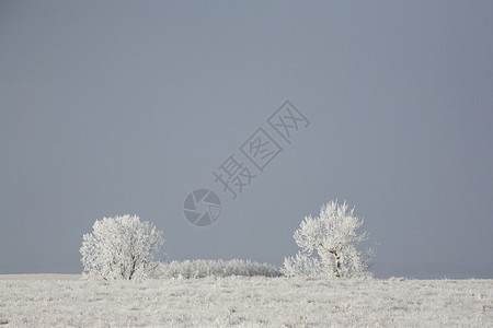 寒霜国庆日乡村国家季节性旅行灌木丛照片水平天气农村场景图片