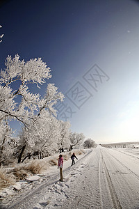 寒霜国庆日灌木丛季节性国家风景旅行孩子们农村女孩们天气树木图片