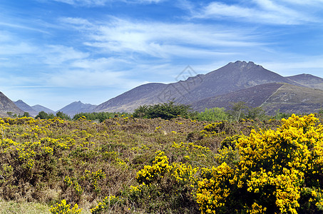 Mourne山地视野背景图片