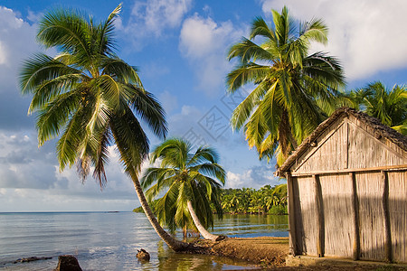热带热带景观假期天堂阳光旅游海景植被旅行支撑海浪娱乐图片