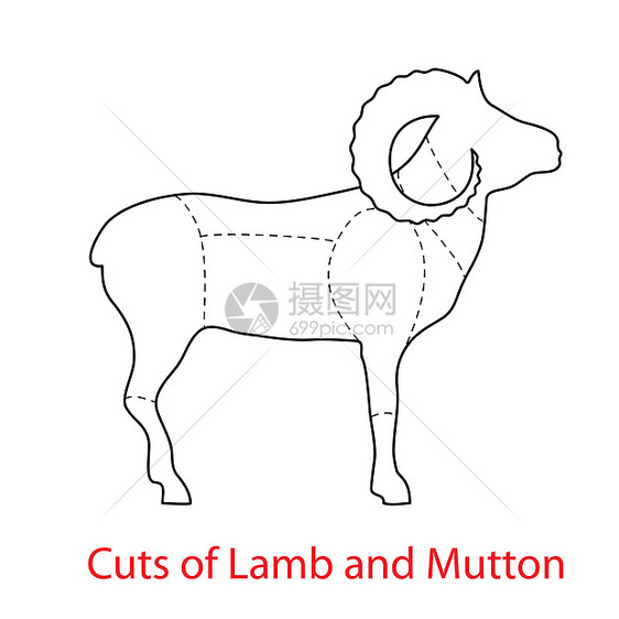 剪切隔断线和穆顿农场图表黑色艺术牛扒羊肉屠夫食物插图动物图片