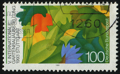 邮票帆布画家卡片博物馆作品邮件信封集邮绘画艺术图片