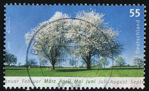 邮票花园环境信封卡片邮件树叶国家邮戳花朵草地图片