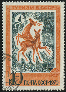 邮票外套国家野生动物集邮鹿角耳朵林地骡子树木森林图片