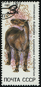 邮票信封古生物学捕食者集邮侏罗纪动物食肉灭绝猎人怪物图片