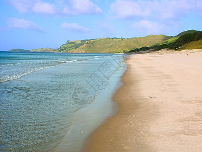 新西兰海滩风景栖息地支撑蓝色场景荒野海岸线流动海岸阳光图片