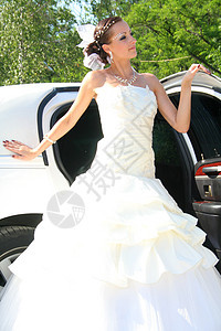 婚纱新娘白色成人浪漫化妆品快乐仪式喜悦裙子婚礼已婚图片