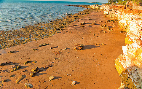 达温海岸野生动物蓝色海岸海滩岩石海洋风景热带图片
