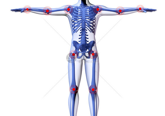 患有关节疼痛中心的人的骨骼细胞风湿病药品脊柱蓝色生物插图解剖学躯干肋骨生物学图片