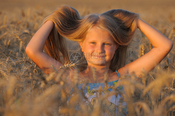那个小麦店里的女孩阳光美丽孩子女孩们金发植物草地头发场地金子图片