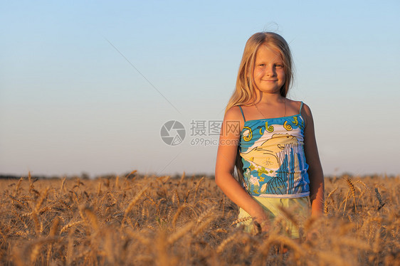 那个小麦店里的女孩土地喜悦美丽金子草地女性微笑天空收成青年图片