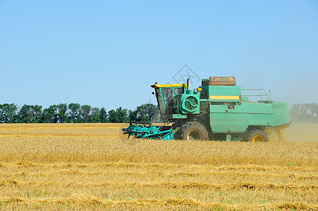 收获场景种子收割机机械小麦食物植物天空青贮粮食图片