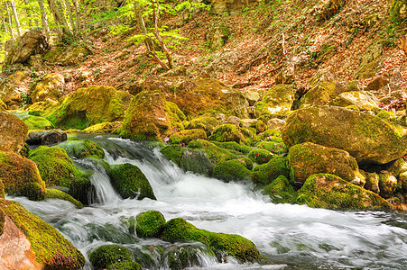 山山河山脉岩石树木风景溪流力量森林气候野生动物石头图片