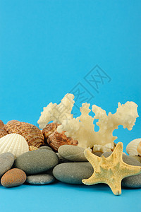 水下世界的海星和一系列海洋物体蓝色卵石岩石野生动物海岸海滩天堂热带星星旅行图片
