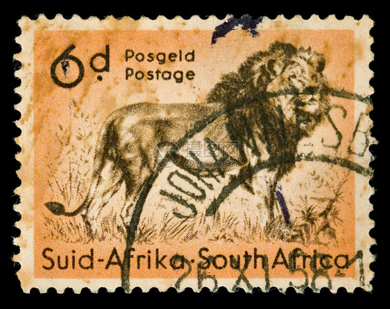 非洲狮子印章图片
