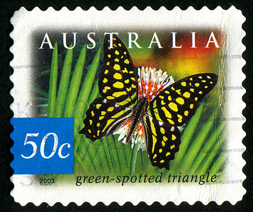 邮票植物花园热带邮件蝴蝶海豹植物学植物群集邮翅膀图片