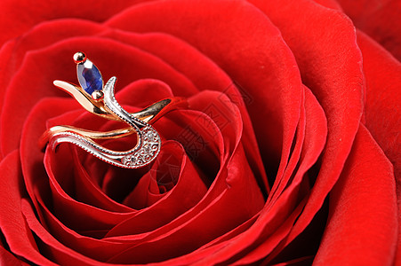 红玫瑰中带蓝宝石的戒指叶子首饰风格礼物金子宝石钻石花瓣蜜月装饰图片