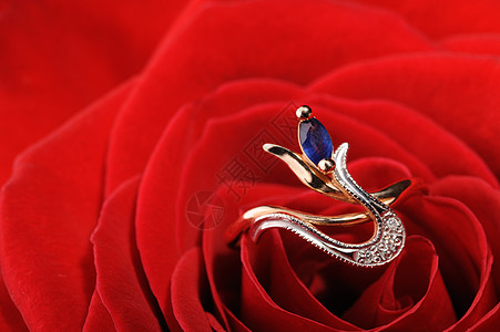 红玫瑰中带蓝宝石的戒指珠宝新娘植物风格金子花瓣金属礼物派对百合图片