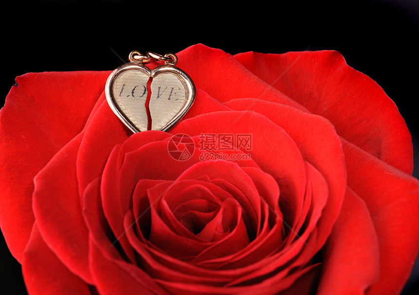 红玫瑰中的金子心叶子珠宝植物玫瑰婚礼礼物夫妻金子金属首饰图片