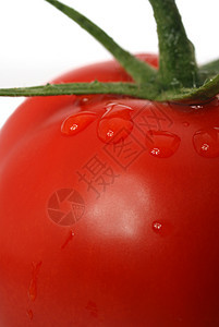 番茄背景白色蔬菜美食红色小吃水果藤蔓饮食绿色宏观图片