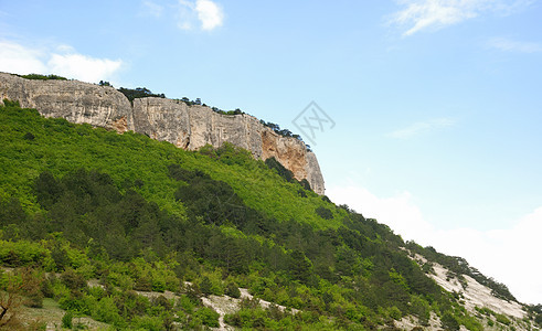 山区和森林天气爬坡全景土地边缘孤独松树天空石头场景图片