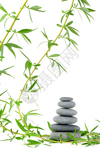 柳树和石子的枝木药品卵石枝条石头福利治疗叶子植物风水绿色图片