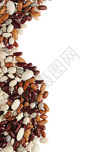 字符串豆种子生长花斑营养植物框架幼苗谷物文化园艺图片