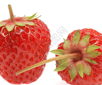 草莓特写植物蔬菜甜点农业白色食物早餐活力养分红色图片