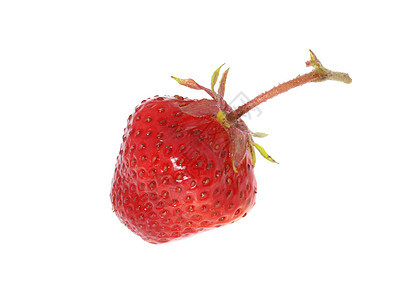 草莓白色食物甜点农业健康蔬菜红色浆果工作室早餐图片