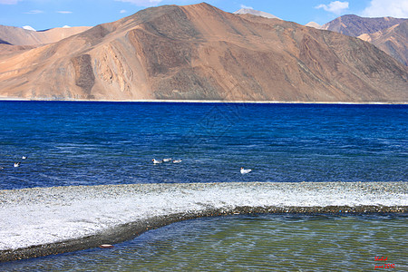 班公湖曹庞冈湖Ladhak湖泊海拔背景