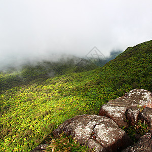 El Yunque雨林波多黎各环境生态旅游热带天堂薄雾敬畏森林栖息地荒野国家图片