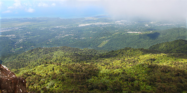 波多黎各雨林荒野栖息地生态旅游环境旅游里科森林顶峰植被国家图片