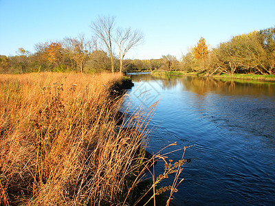 Kishwaukee河伊利诺伊州荒野风景溪流支撑波纹场景树木公园图片