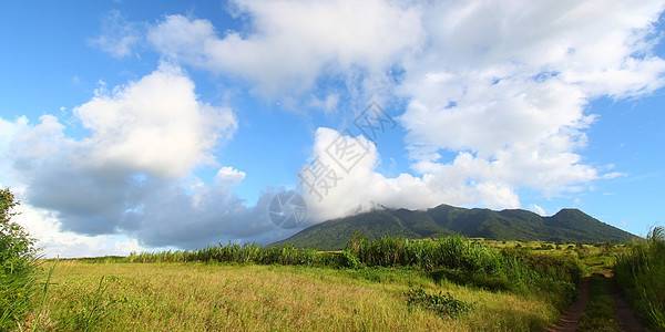 圣基茨的蒙塔利穆伊加天空风景甘蔗场地生态天堂植物群森林农业栖息地图片