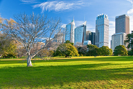 sydney 天线地标房子公园旅游景观建筑城市天空建筑学风景图片