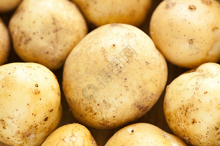 新鲜土豆商业棕色黄色蔬菜收集食物食品畜牧业蛴螬收成图片