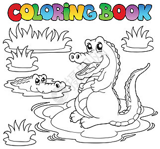 两条鳄鱼的彩色书图片