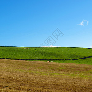 红心山蓝色天际绿色天空爬坡草地王国全景丘陵图片