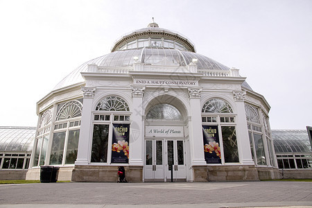 2011年布朗克斯植物园兰花团表演背景图片