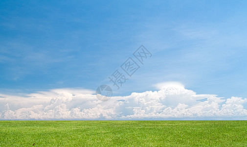 天堂田地天空植物农村远景天蓝色地平线草原场地蓝天环境背景图片