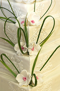 -婚礼蛋糕或生日蛋糕 装饰着墨西哥玫瑰图片
