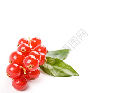 白色背景的曲线水果叶子红色树木健康甜点浆果花园食物图片