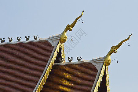 瓦特切迪卢昂宝塔石头寺庙宗教文化废墟建筑学佛塔佛教徒纪念碑图片