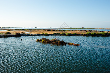 盐沼地圣波沼泽盐场反射温暖水平河口晴天风景阳光图片